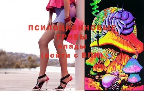 соль ск Абаза