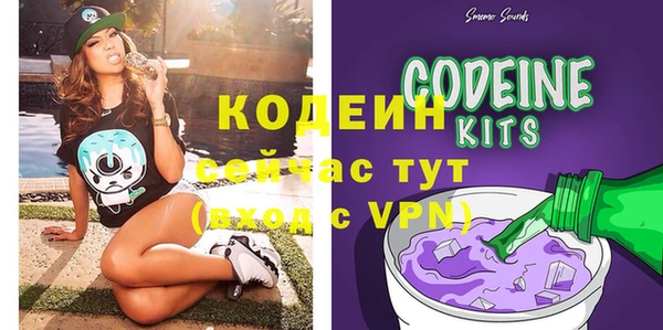 соль ск Абаза