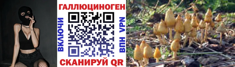 даркнет сайт  Усмань  Галлюциногенные грибы Psilocybe 